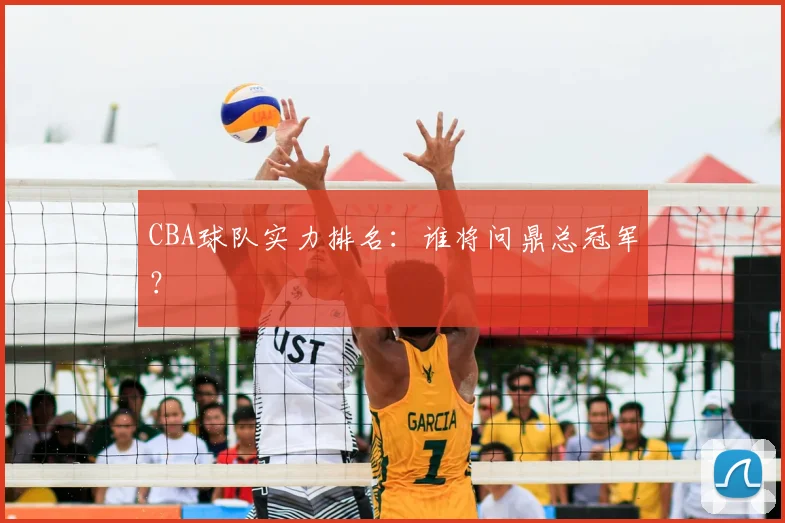 CBA球队实力排名:谁将问鼎总冠军?